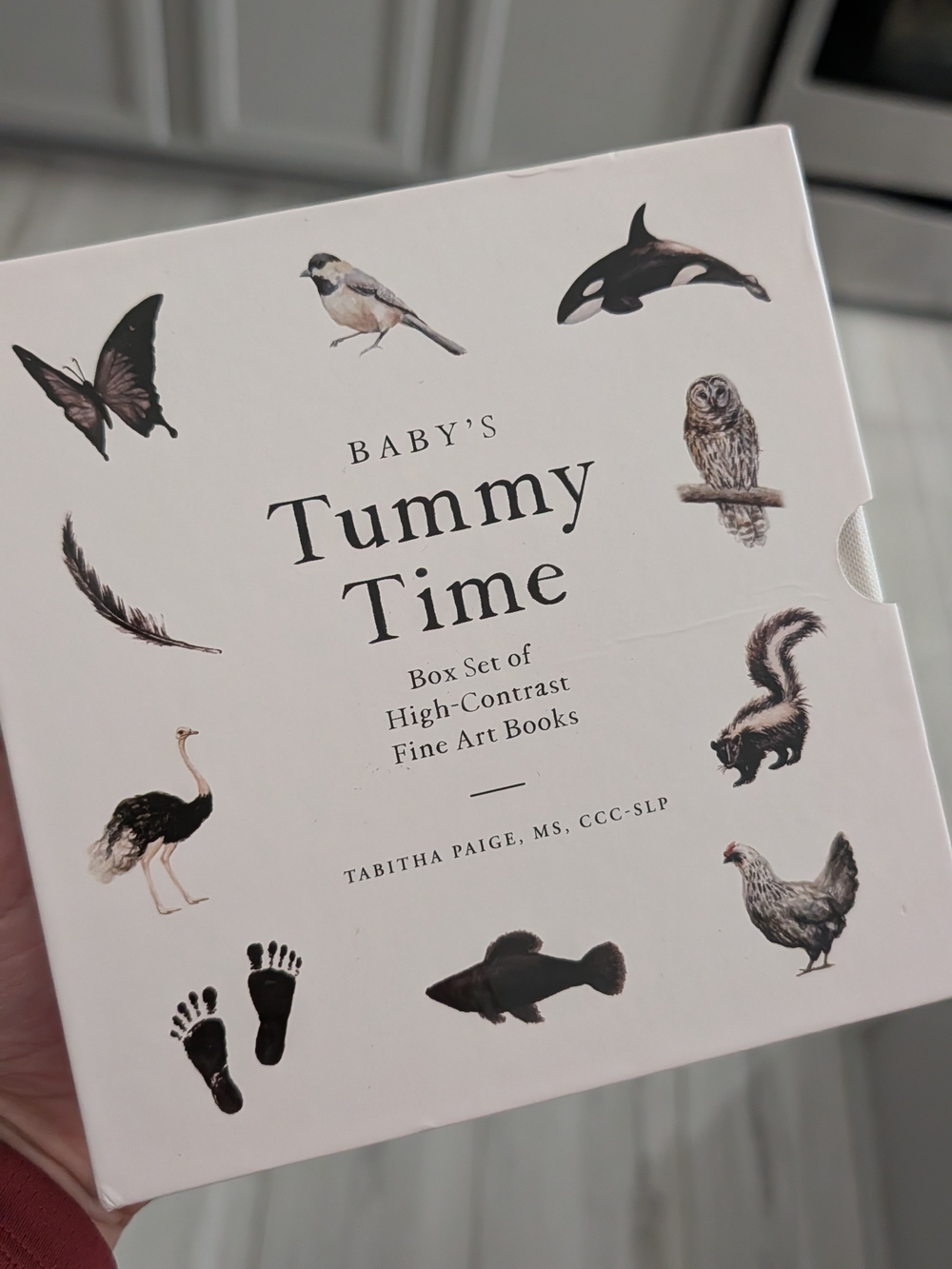 Baby's Tummy Time High-Contrast Fine Art Books - Neutral
